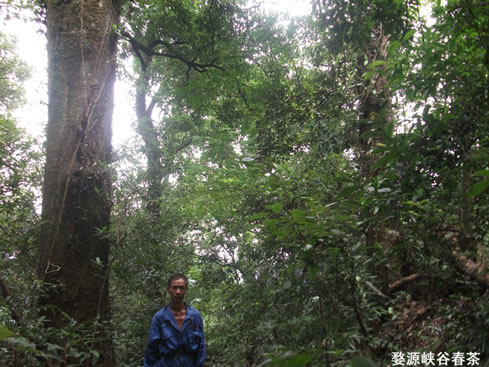 ��Դ����ɽ