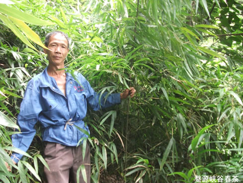 ��Դ����ɽ������