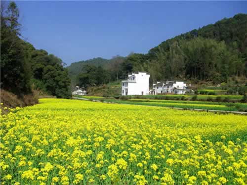 ��Դ��Դ�L��