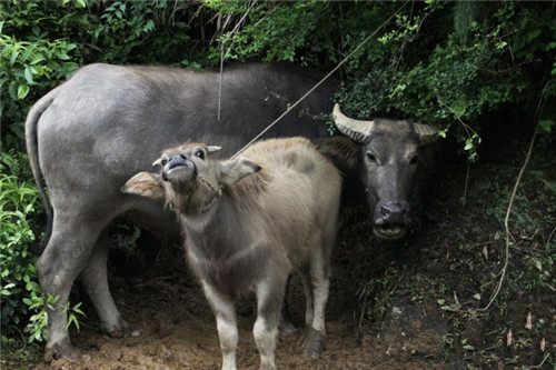 ��Դ��Դ�L��