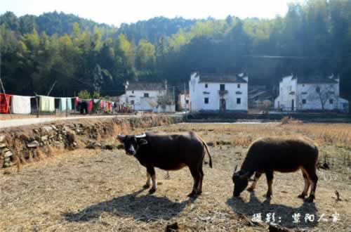 ��Դ��Դ�L��