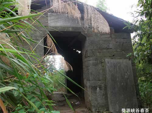 ��Դ����ͤ