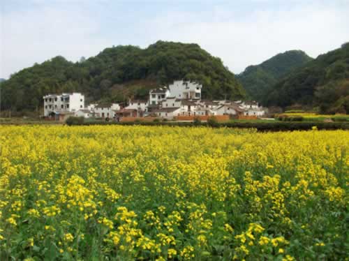 ��Դ��Դ�L(f��ng)��