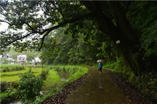 ��Դ��Դ�L(f��ng)��