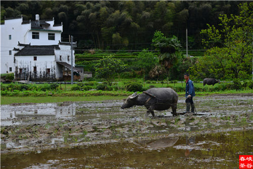 ��Դ��Դ�L��