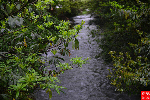 ��Դ��Դ�L��