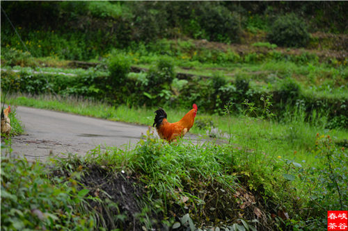 ��Դ��Դ�L��