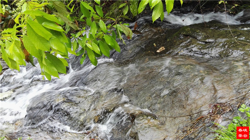 ��Դ��Դ�L��