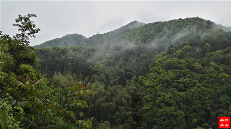 ��Դ��Դ�L��