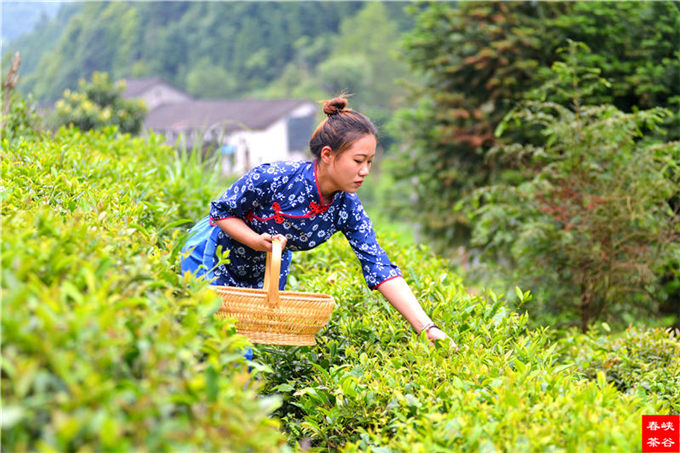 ��ɽ�{�ȴ���@