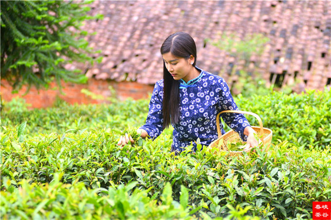 ��ɽ�{�ȴ���@