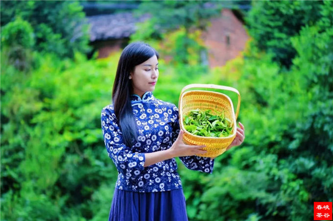 ��ɽ�{�ȴ���@