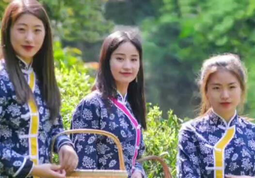 �{�ȅ����F����������