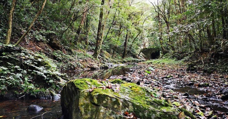 ��Դʯ�{��