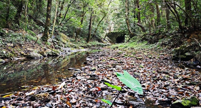 ��Դʯ�{��