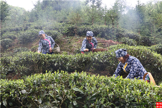 ԁ�{�ȴ���