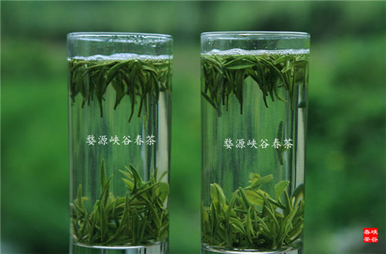 ԁ�{�ȴ���