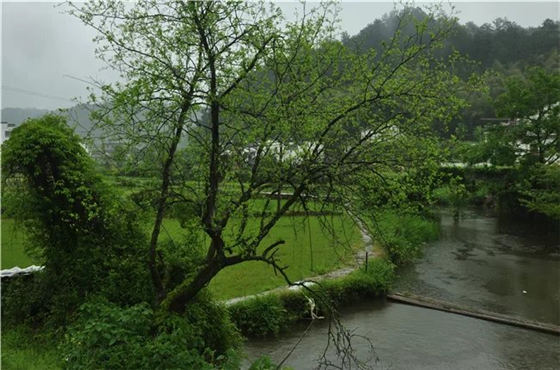 ��Դʯ�{��