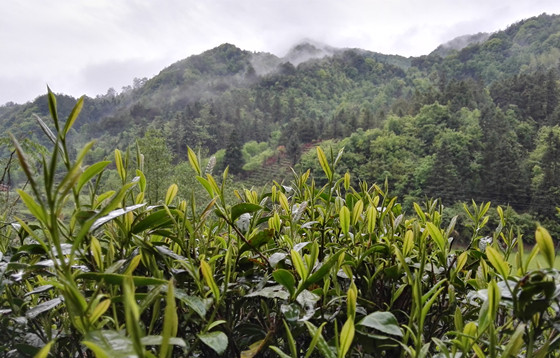 �����Ї�ʮ��������@���W�в��Ļ����к��������λ