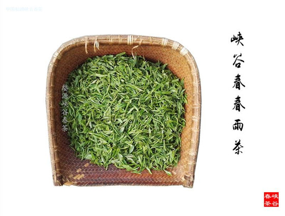 ����������������ڽ���