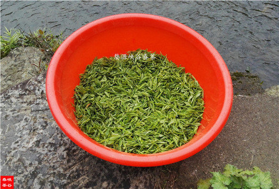 ����������������ڽ���