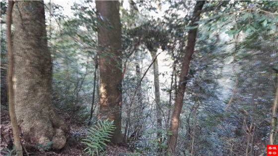 �����壺����һ���