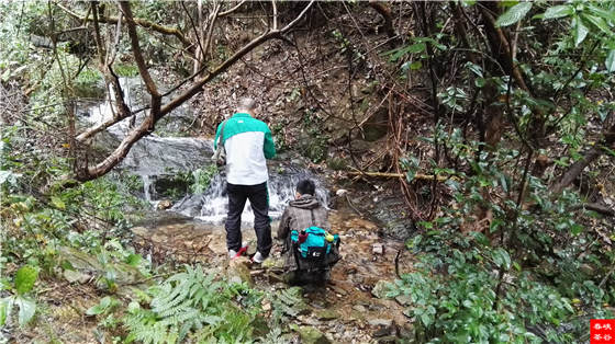 �����壺����һ���