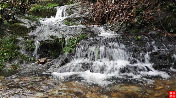 �����壺����һ���