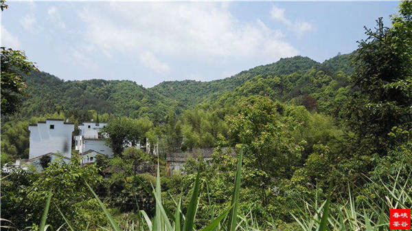 �l����������Դ������߀���{�ȴ�