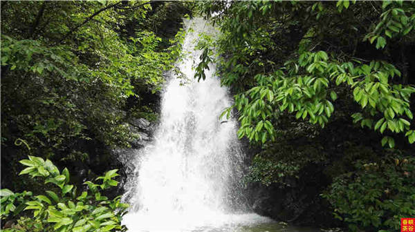 �l����������Դ������߀���{�ȴ�