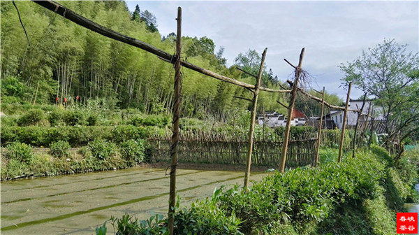 �l����������Դ������߀���{�ȴ�