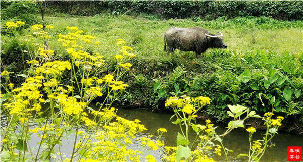 �l����������Դ������߀���{�ȴ�