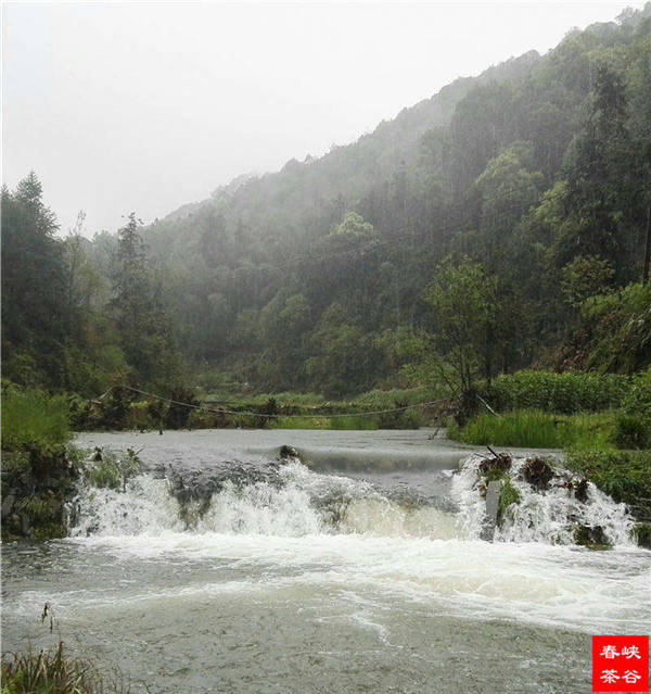 �l����������Դ������߀���{�ȴ�