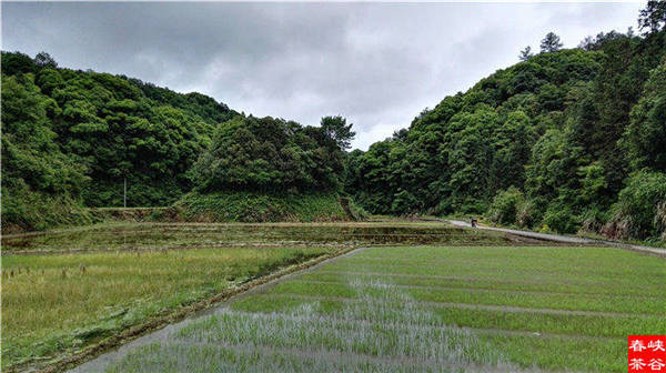 �l����������Դ������߀���{�ȴ�