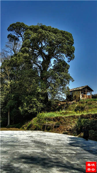 �l����������Դ������߀���{�ȴ�