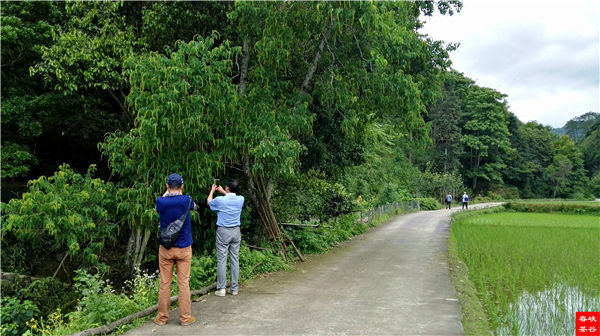 �l����������Դ������߀���{�ȴ�