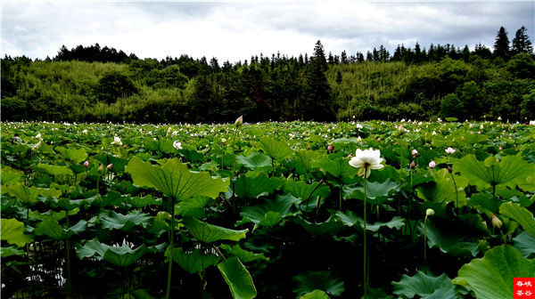 �l����������Դ������߀���{�ȴ�