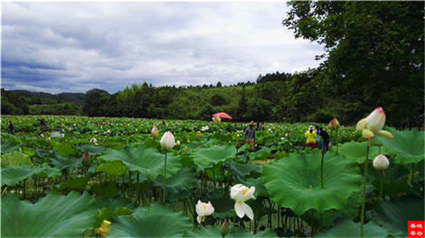 �l����������Դ������߀���{�ȴ�