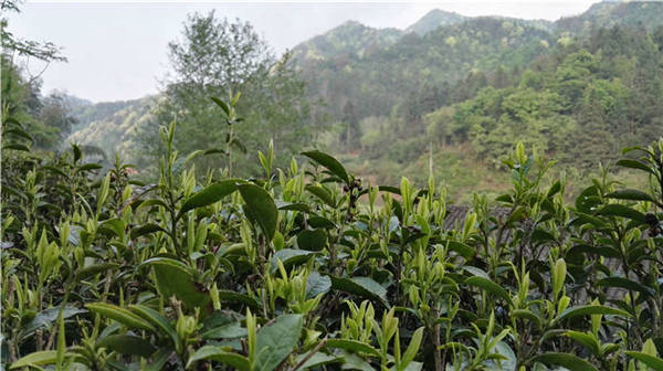 �l����������Դ������߀���{�ȴ�