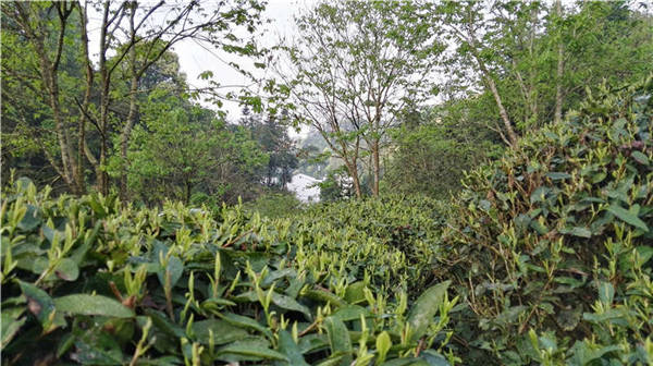 �l����������Դ������߀���{�ȴ�