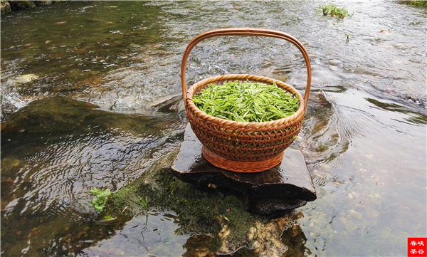 �l����������Դ������߀���{�ȴ�