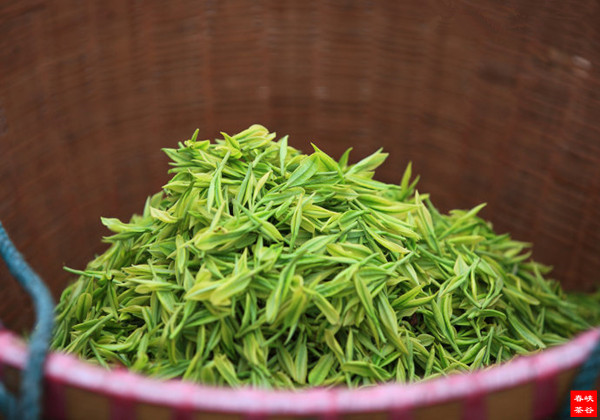 ���~�ǰ��Y�Ŀ��ǡ�����(sh��)��(j��)�fԒ