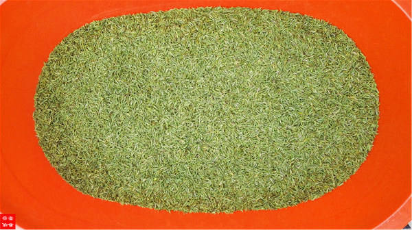 �ò�ʮ���ȼ����������`�����Q