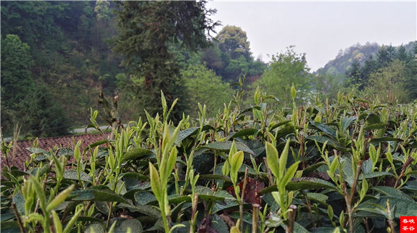 �����ٹ� �ȹ����؛�ȥ��