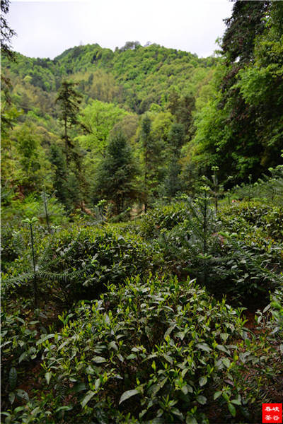 ���~�е������B��֪�R����