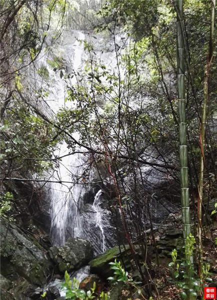 ��Դ�����~�G��