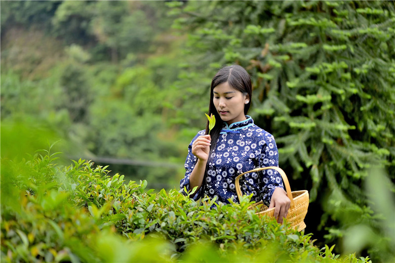 ���羮Ԋ�~(li��n)����22�ڣ������������{�ȴ�����ȫ��Ԋ�~��ِ�@������