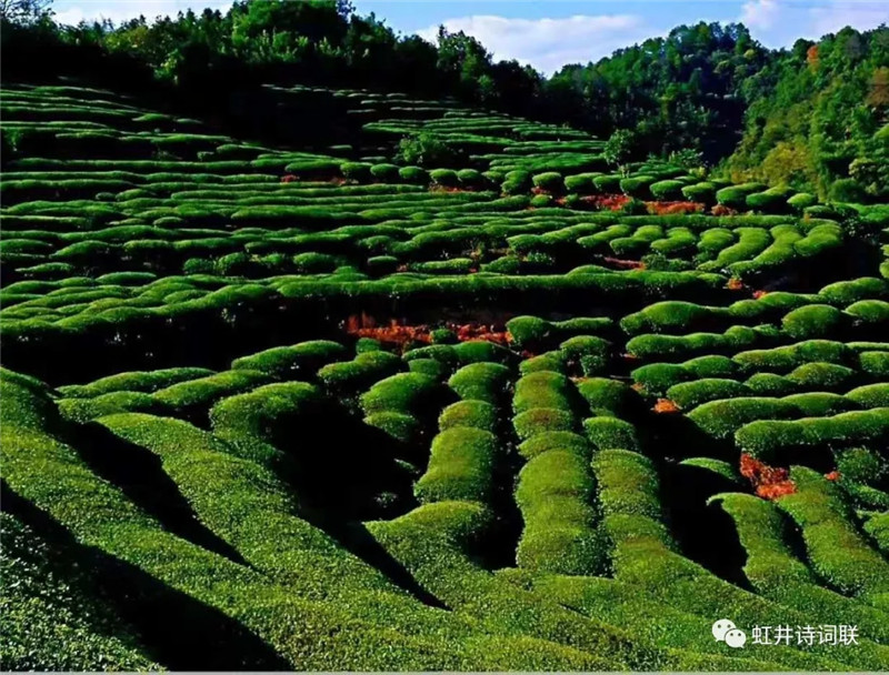 ���羮Ԋ�~(li��n)����22�ڣ������������{�ȴ�����ȫ��Ԋ�~��ِ�@������