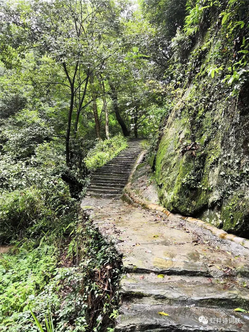 ���羮Ԋ�~(li��n)����22�ڣ������������{�ȴ�����ȫ��Ԋ�~��ِ�@������