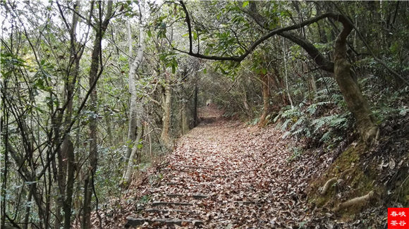 ��Դ����ɽ